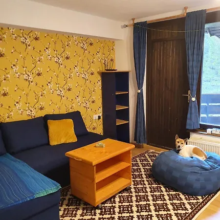 M & M Krvavec * צרקליה נה גורניסקם