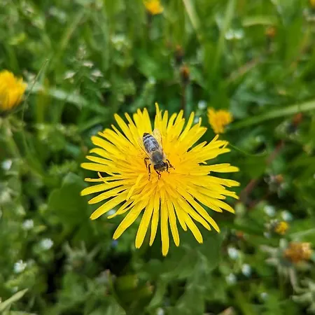 Appartamento M & M Krvavec Cerklje na Gorenjskem