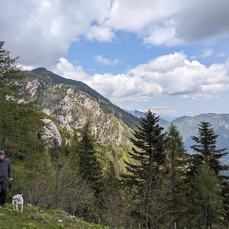 M & M Krvavec Apartman *