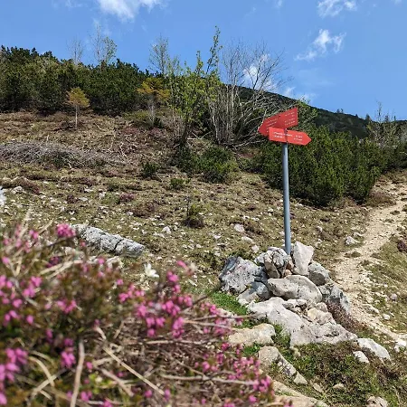 Apartman M & M Krvavec *