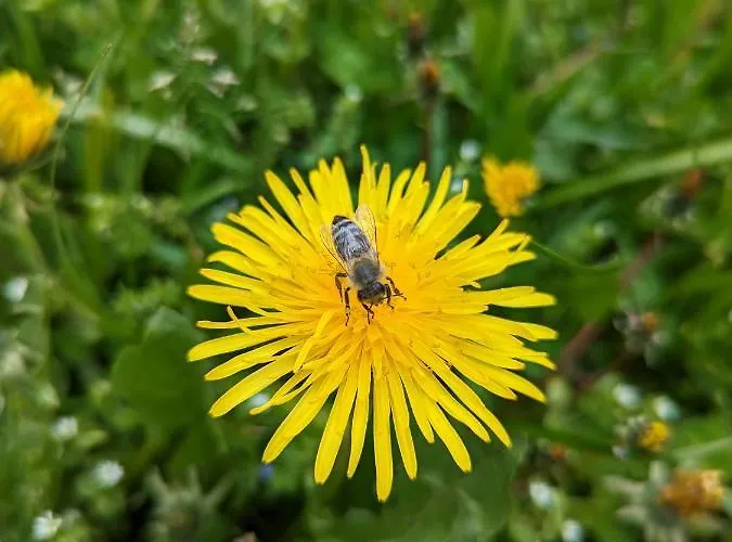 Apartmán M & M Krvavec Cerklje na Gorenjskem