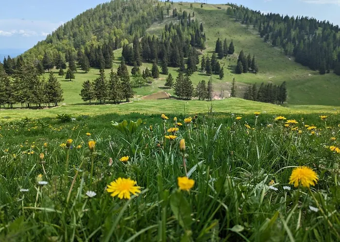 M & M Krvavec * 서클리예나고렌스켐