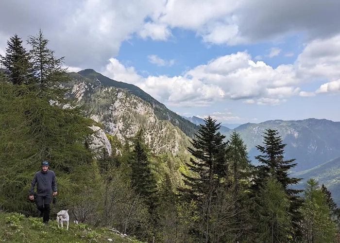 M & M Krvavec 아파트 *