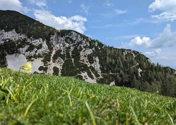 M & M Krvavec 아파트 *