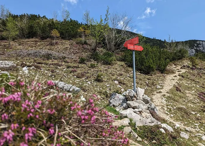 아파트 M & M Krvavec *